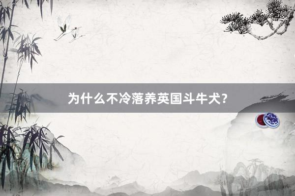 为什么不冷落养英国斗牛犬？