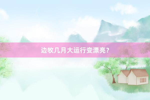 边牧几月大运行变漂亮?
